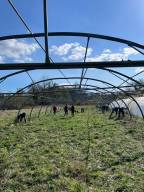 Montage serre mars 26 2